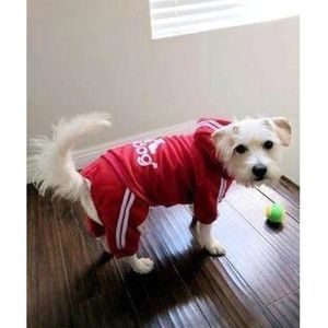 Adidog Onesie